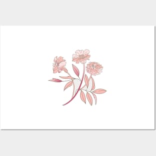 Marigold flower in salmon rose Posters and Art